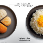 پلوپز 11 کاره فلر مدل RC33